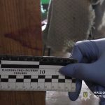 Схопив ніж під час сварки: на Нікопольщині чоловік поранив співмешканця своєї с…