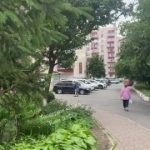 В Обухові дядька заглушив реб   Засняли або побачили щось цікаве чи важливе – од…