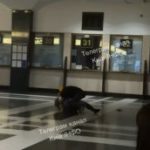 Ранок на ЖД розпочався з БІЙКИ ㅤ  Засняли або побачили щось цікаве чи важливе – …