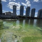 Справжнє БОЛОТО утворилось на Дніпровській набережній біля ЖК «RiverStone».Мешка…
