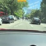 Чого і кого тільки не побачиш у Києві ㅤ  Засняли або побачили щось цікаве чи важ…