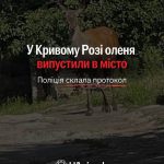 На власника, який навмисно випустив оленя на вулиці Кривого Рогу, склали адмінпр…
