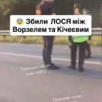Збили ЛОСЯ між Ворзелем та КічеєвимㅤНадсилайте новини в анонімний бот @novosty…