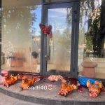 Біля салону краси «G.Bar» у Києві невідомі залишили відрізані свинячі голови, а…
