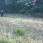 Жахлива ДТП з загиблими сталася по Житомирській трасі — рух транспорту ускладне…