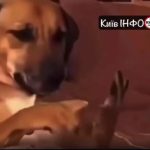 Кияни рахують, скільки годин вдасться поспати сьогодні… ти знаєш кому то надісла…