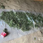 На Дніпропетровщині «домашню ферму» накрили ще до врожаю41-річний мешканець Сор…