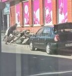 Суворі дніпровські пазли: збереш 100 шматків — отримаєш рівну ділянку біля гара…