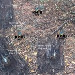 ЖЕСТЬ! у Київській області грибники знайшли ручні гранати, прикуті до дерев з р…