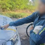 Жінка вкрала телефон відвідувачки в магазині у Китайгороді Дніпровського району….